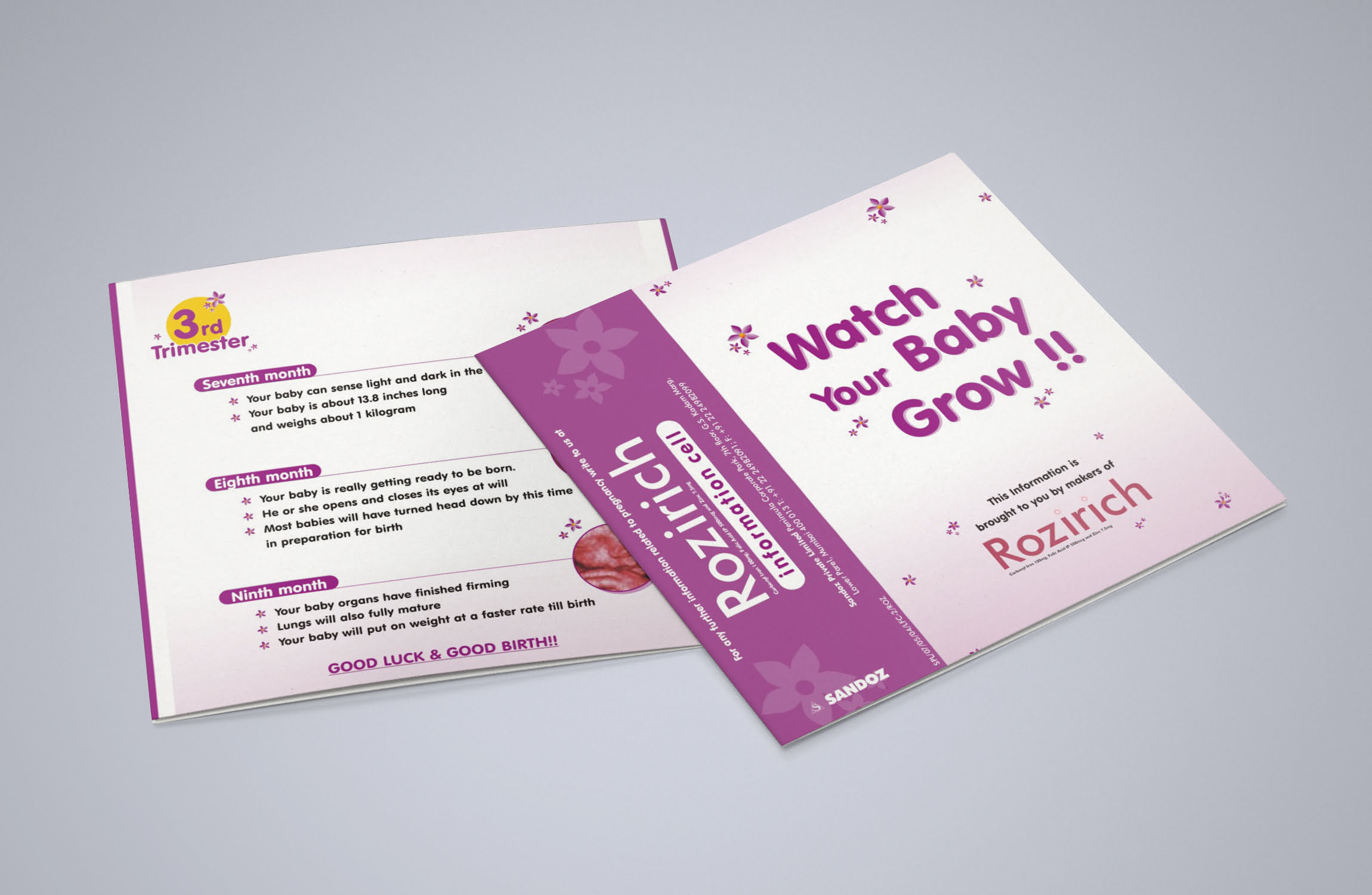 Stages of Pregnancy leaflet